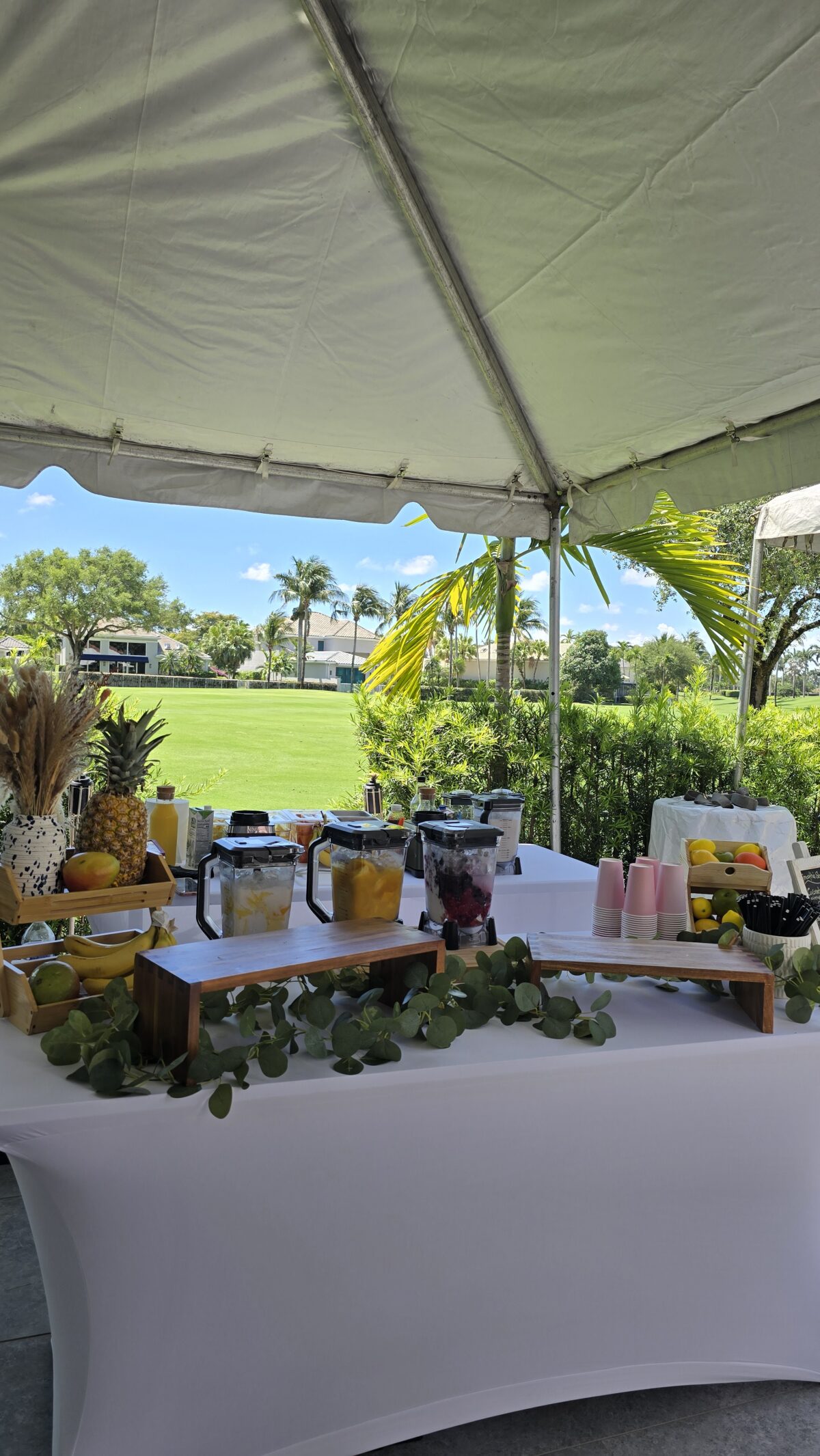 smoothie station by taste corner