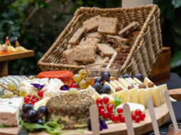 {{brizy_dc_image_alt entityId=