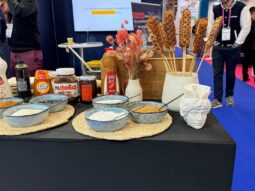 {{brizy_dc_image_alt entityId=